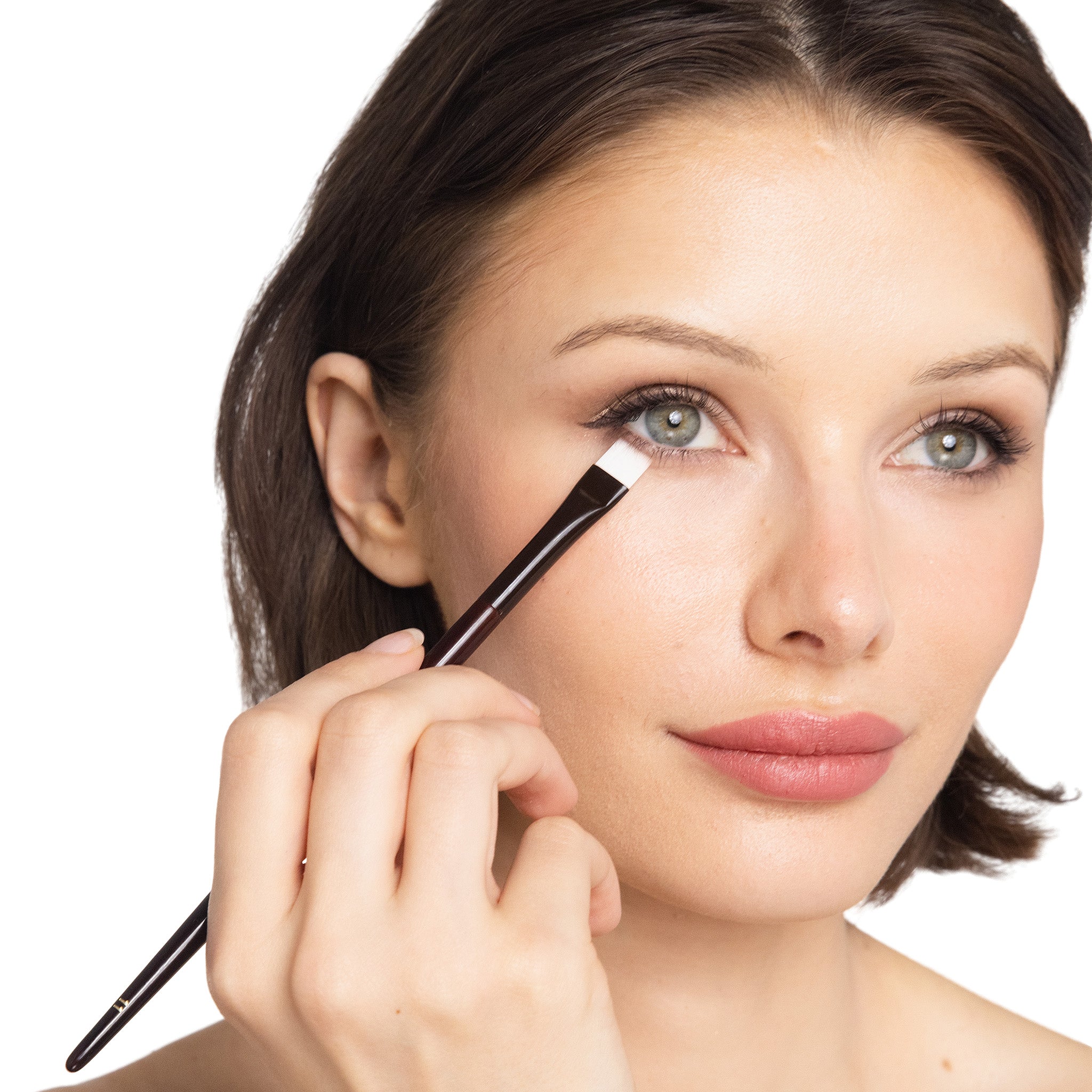 model brush 11 