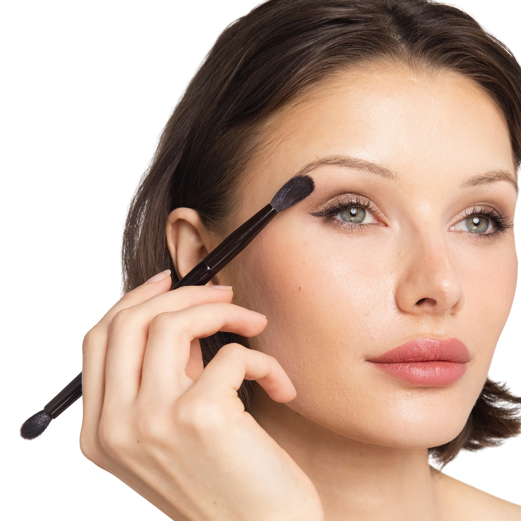 model brush 29/69