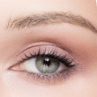 color sugar plum
