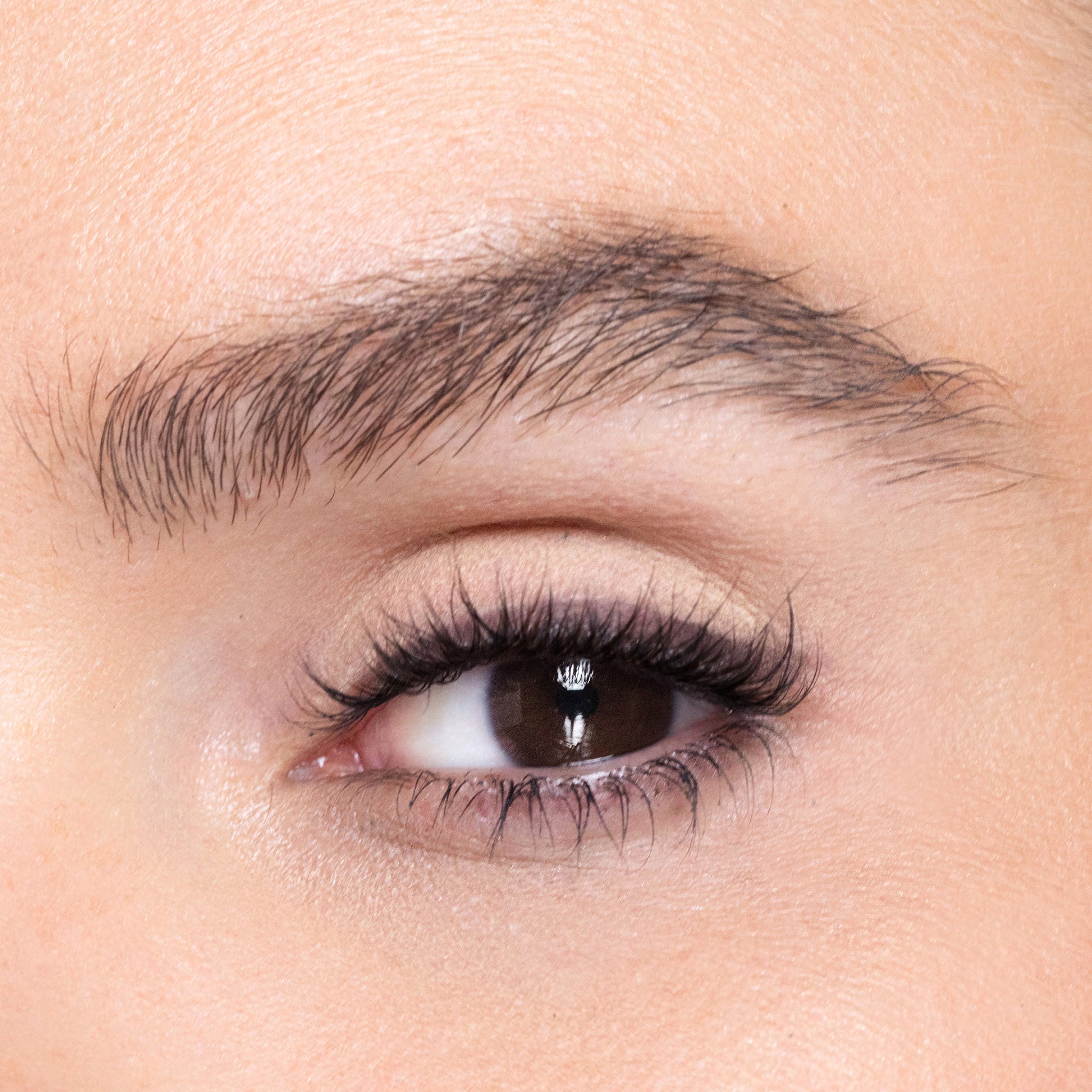 color deep aubergine