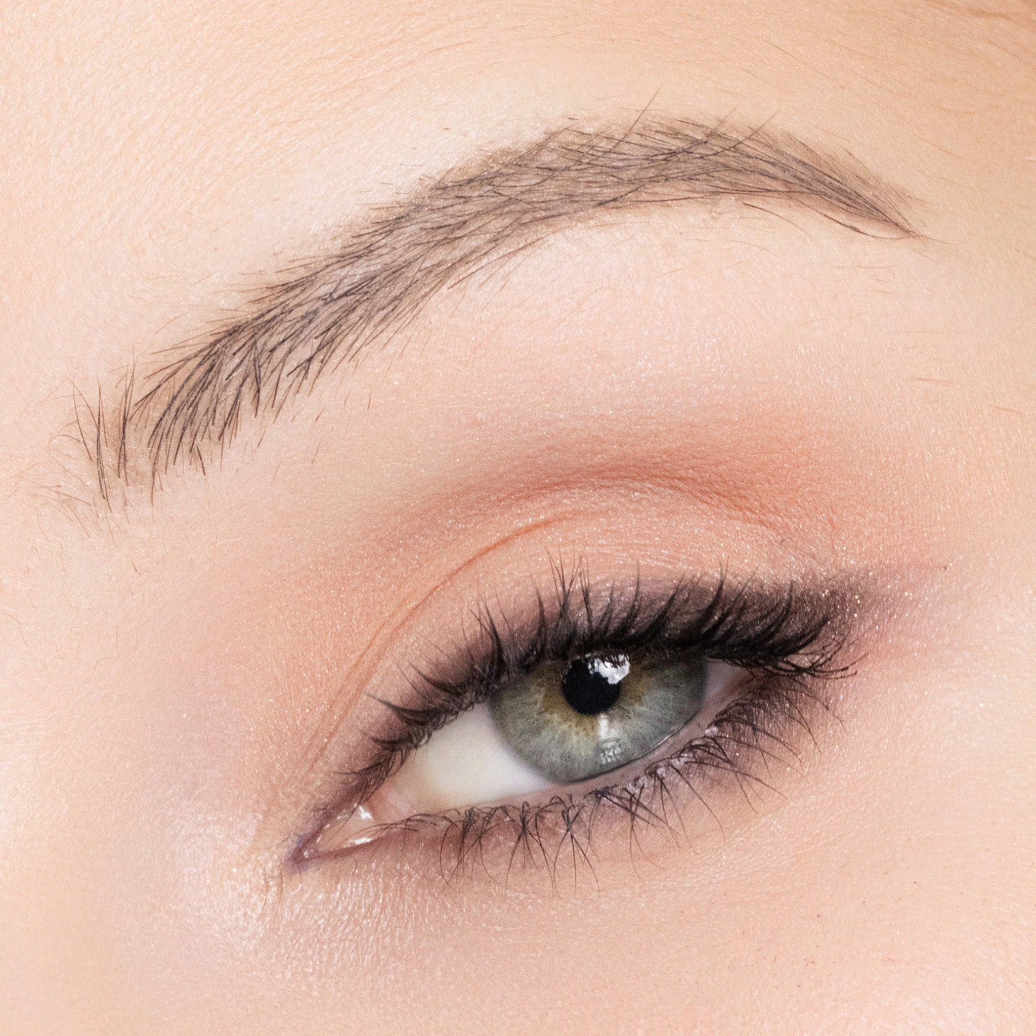 color lover eye shadow